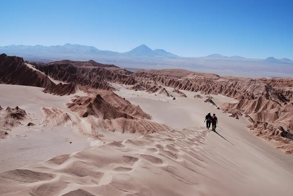 Atacama Firma