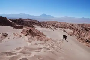 Atacama Firma